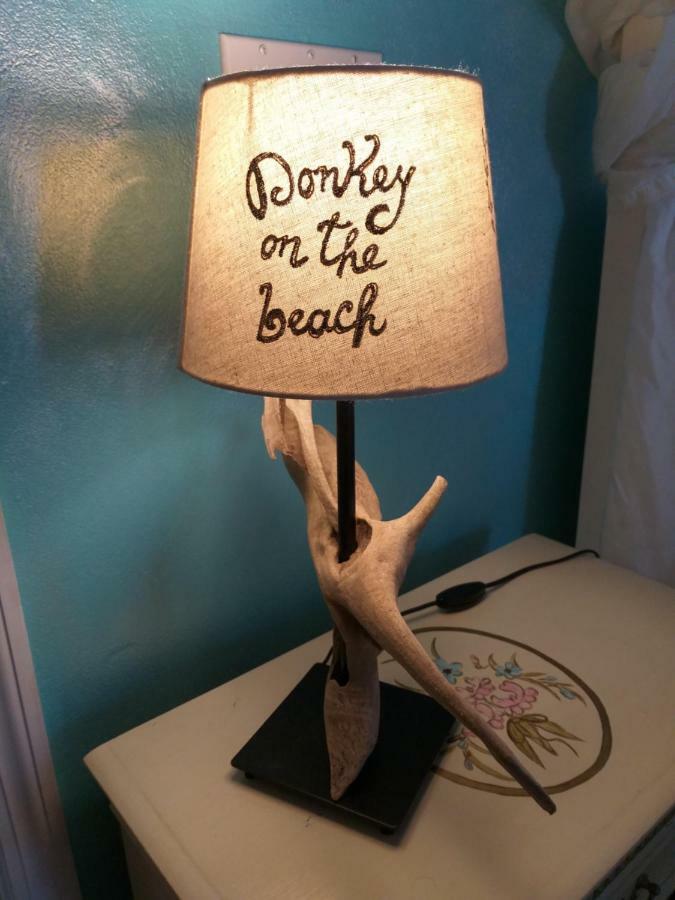 Donkey On The Beach 콥스크로스 외부 사진